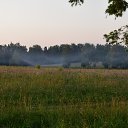 ���� ���������, ������, 33 ���� - ��������� 8 ������� 2026 � ������ ���� ����������