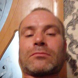 ����������, ����, 41 ���