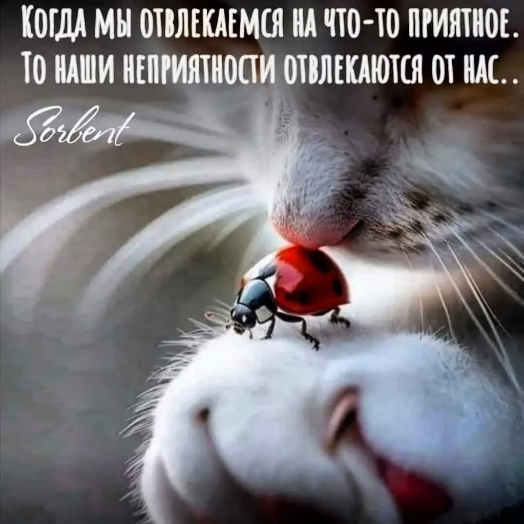 :)