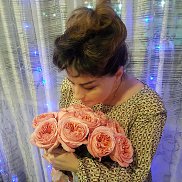 ����, 49 ���, �����������