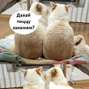 ���� Vladimir, ���������, 59 ��� - ��������� 27 ������� 2025 � ������ ������ ��������