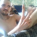 ���� �������, ������-���, 37 ��� - ��������� 4 ���� 2026 � ������ ���� ����������