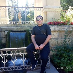 ����, �������, 49 ���