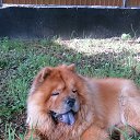 ���� *Galina*, ������ - ��������� 14 ������ 2025 � ������ ������ ��������