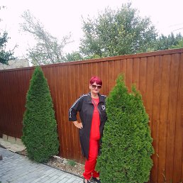  , 65, 