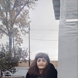 ���� �����, ������� - ��������� 11 ������� 2025