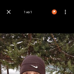 , 37, 