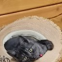 ���� �����, ����������, 39 ��� - ��������� 11 ���� 2025 � ������ ������ ��������