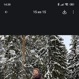 �������, ������������, 46 ���