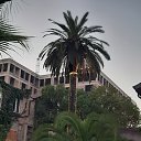 ���� ��, ������-��-���� - ��������� 10 ������� 2024 � ������ �������� ������� 24�