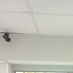 �������, ������, 39 ���