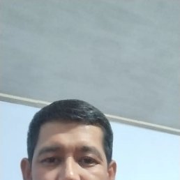 �����, 38 ���, ���������