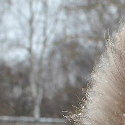 Sexprimer, ������, 30 ���