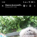 ���� ������, ������ �����, 55 ��� - ��������� 3 ������ 2026 � ������ ���� ����������
