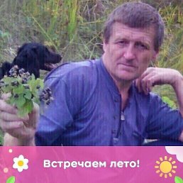 ����, 59 ���, ��������