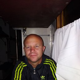 ���� �����, �����������, 43 ���� - ��������� 1 ������� 2023