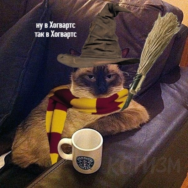 ��� ������� - 5