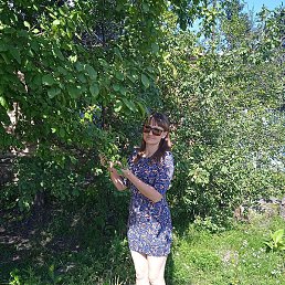 ����, ��������, 31 ���