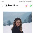 ���� ����, ����, 42 ���� - ��������� 8 ���� 2024 � ������ ���� ����������