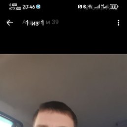 ������, 41 ���, ������