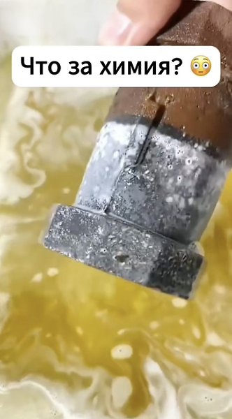������������ �����.������ - 2