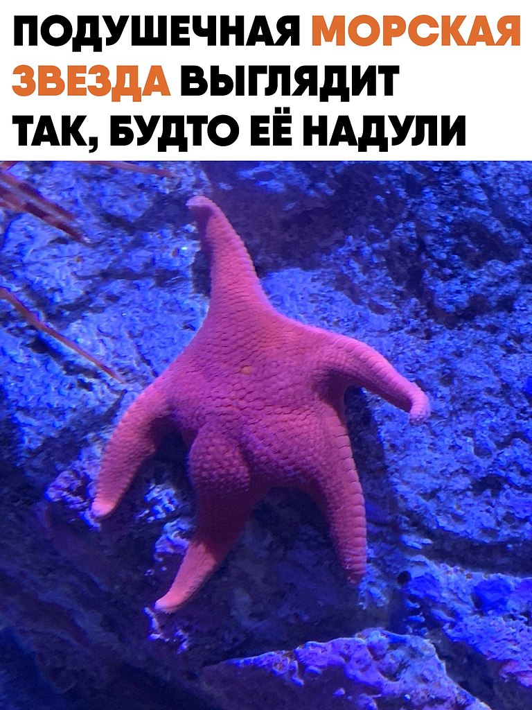 ��� ��������� ������� ������ ���������� ����������. � ������� �� ��������� ���� � ������� ������, ...