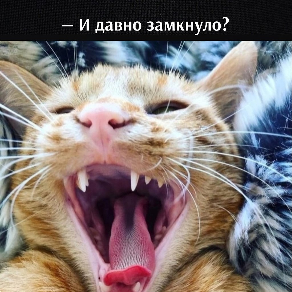 ��� ���� � ����� �� �� - 12 ����� 2025 � 12:48 - 3