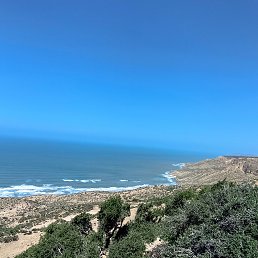 ���� Omar, �����, 36 ��� - ��������� 18 ������ 2024