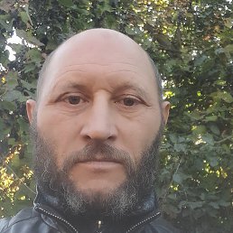 ����, ������, 56 ���