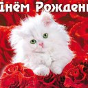 ���� �����, ����������� - ��������� 18 ������� 2024 � ������ ������ ��������