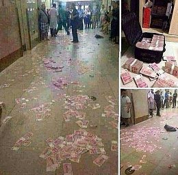 �����������