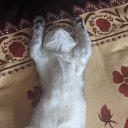 ���� ���� �, ����������, 54 ���� - ��������� 1 �������� 2024 � ������ ���� ������� !!!�