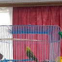 ���� ������, ��������, 56 ��� - ��������� 13 ������ 2024 � ������ ���� ����������