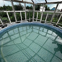 Mitya, �����������, 38 ���