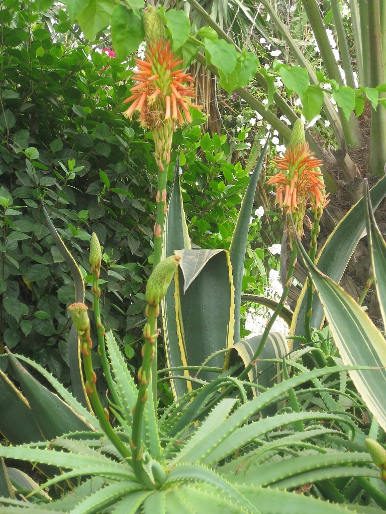 Iga - 9 ���� 2025 � 08:30