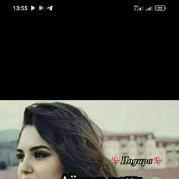 ���� �����, ������, 61 ��� - ��������� 8 ���� 2024