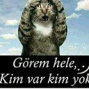 ���� Akif, ���������, 49 ��� - ��������� 1 ������ 2024 � ������ ���� ����������