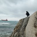 ���� ����, �����������, 44 ���� - ��������� 15 ������� 2024 � ������ ���� ����������