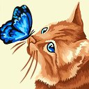 ���� �����, �����������, 39 ��� - ��������� 9 ������� 2025