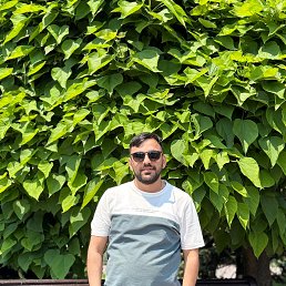 , 29, 