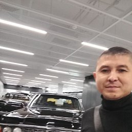 �����, ������, 43 ����