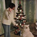 ���� ������ �����, ����������, 52 ���� - ��������� 20 ��� 2025 � ������ ���� ����������