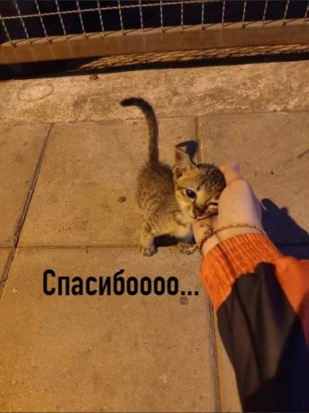 ������� �� ������? - 3