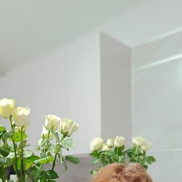  , -, 67  -  25  2024