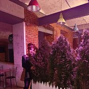 ������, , ������