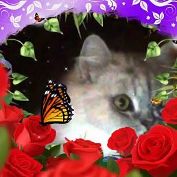 �������, ������, 67 ���