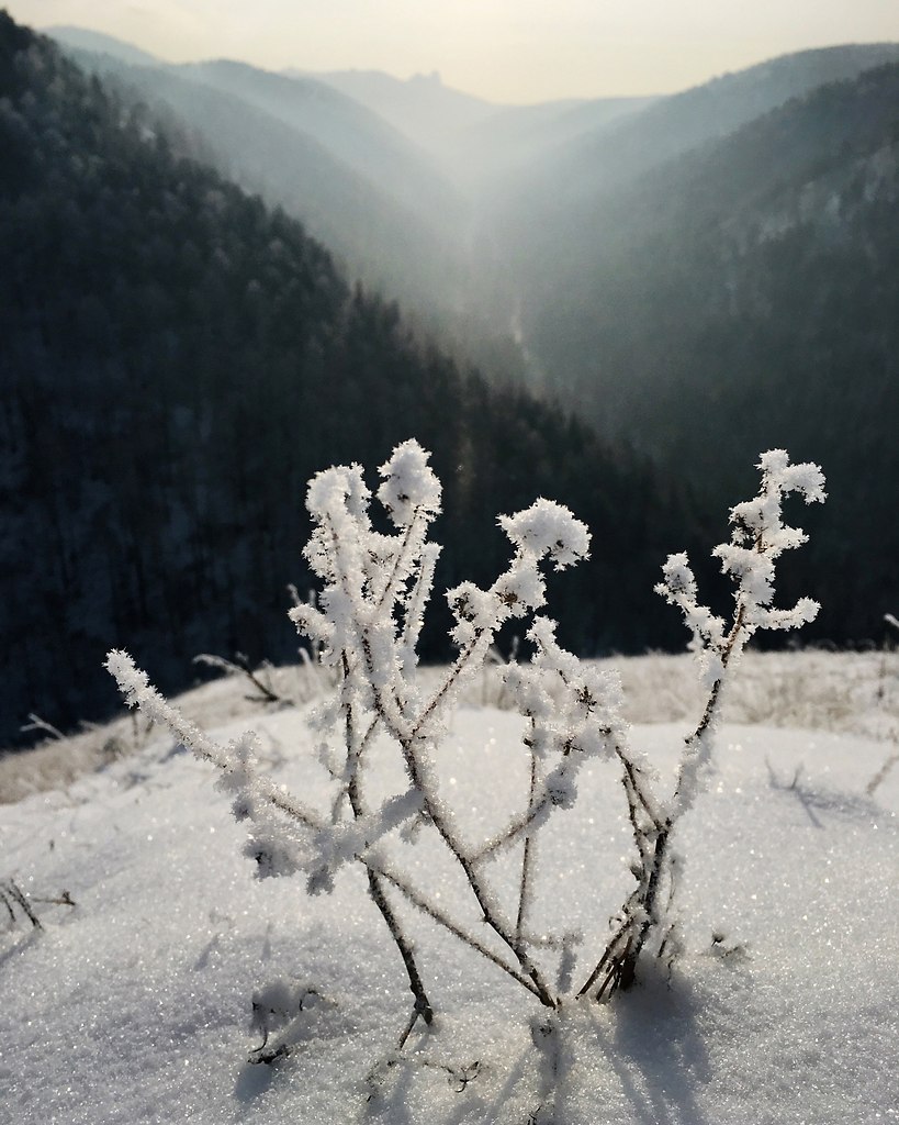   .  : https://fotostrana.ru/away?to=/sl/ei54 ... - 2