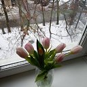 ���� ����, ������, 69 ��� - ��������� 6 ����� 2026 � ������ ���� ����������