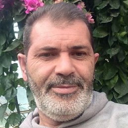 ������, �����, 51 ���