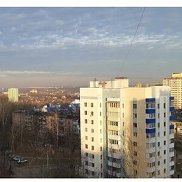 ����, 41 ���, ���������